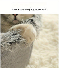 Cozy Cat Bed & Mat Set Warm Enclosed Pet Bed with Plush Interior - Wize - Z