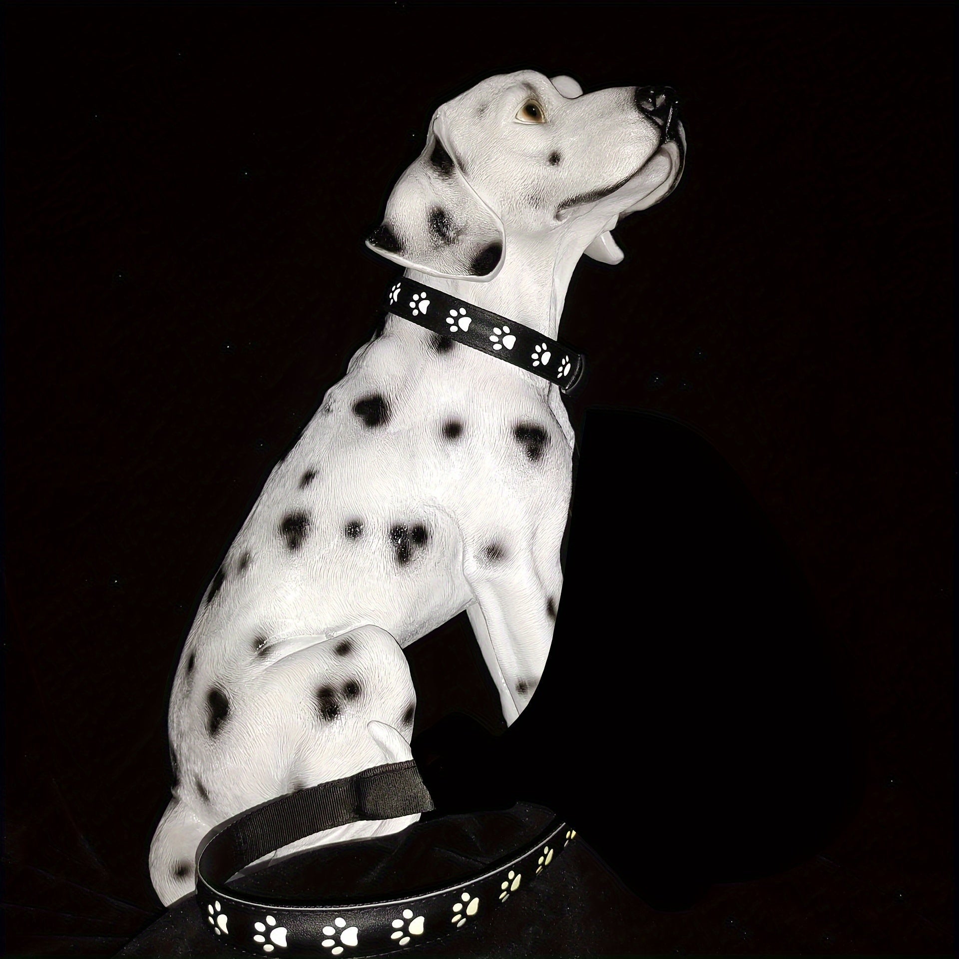 LED Dog Collar Color - Changing Rechargeable LED Dog Collar - Wize - Z