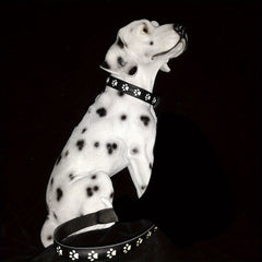 LED Dog Collar Color - Changing Rechargeable LED Dog Collar - Wize - Z