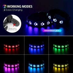 LED Dog Collar Color - Changing Rechargeable LED Dog Collar - Wize - Z