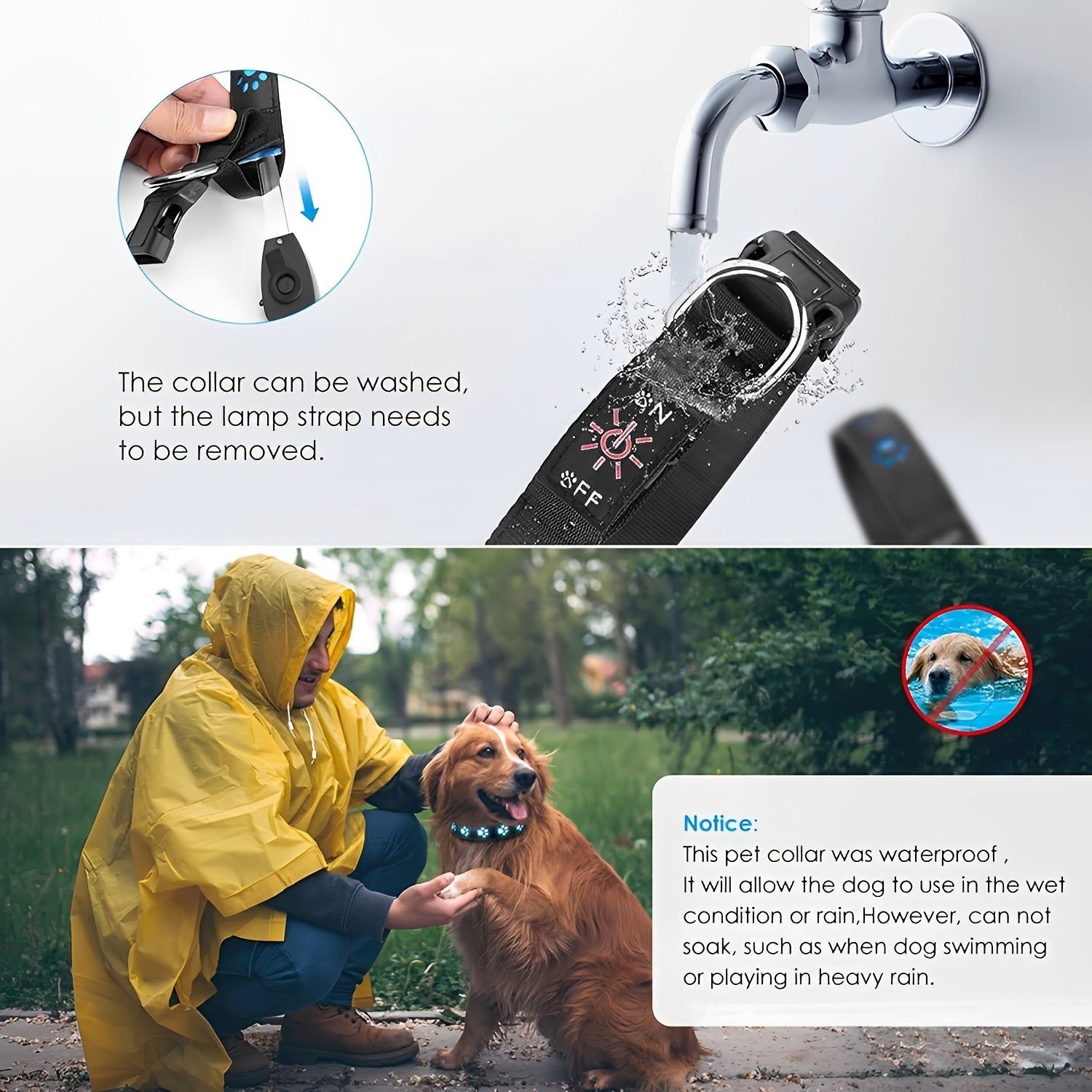 LED Dog Collar Color - Changing Rechargeable LED Dog Collar - Wize - Z