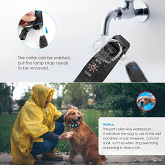 LED Dog Collar Color - Changing Rechargeable LED Dog Collar - Wize - Z