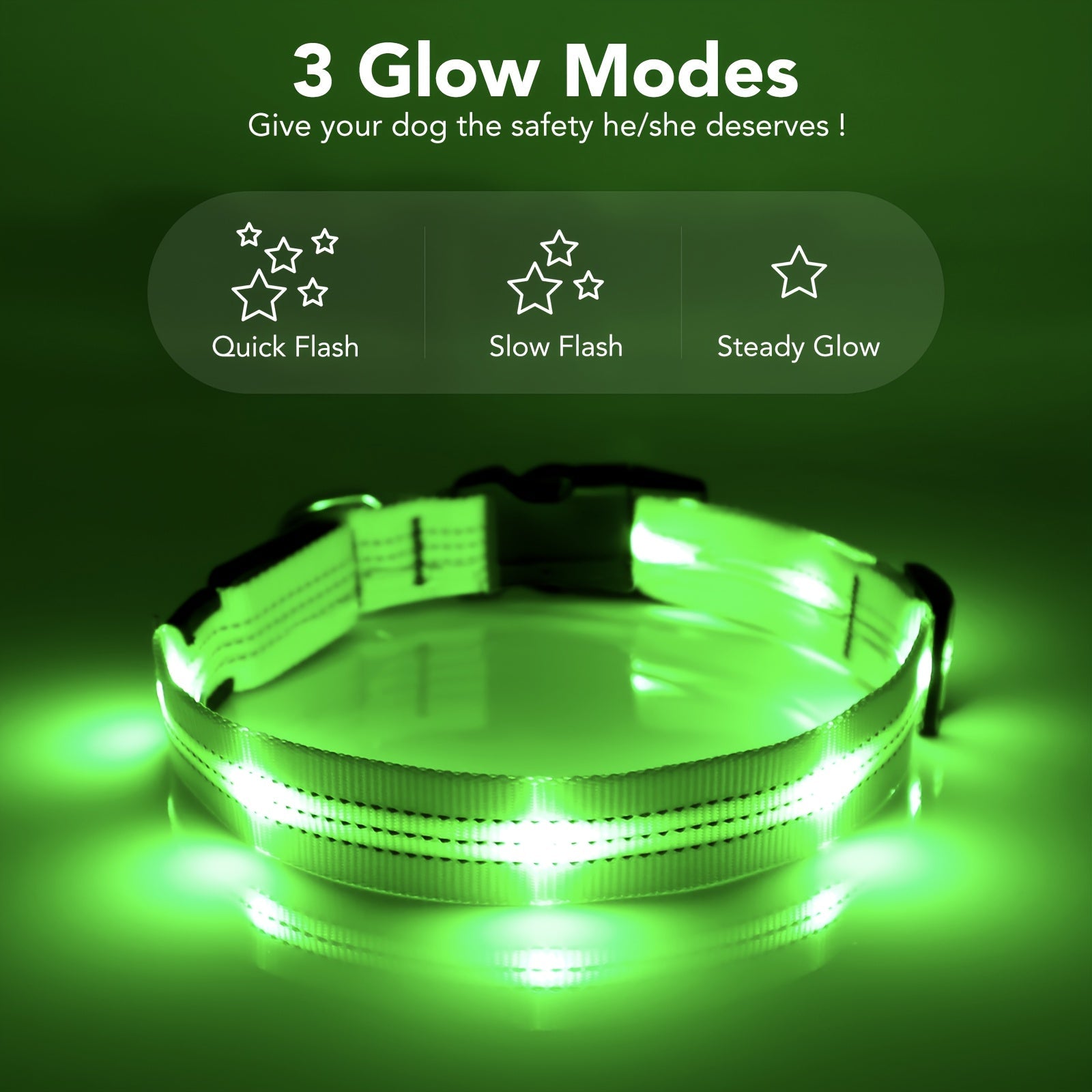 Rechargeable LED Dog Collar with USB - Powered Lighting - Wize - Z