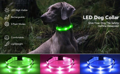 Rechargeable LED Dog Collar with USB - Powered Lighting - Wize - Z