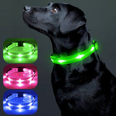 Rechargeable LED Dog Collar with USB - Powered Lighting - Wize - Z