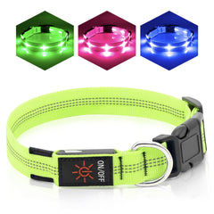 Rechargeable LED Dog Collar with USB - Powered Lighting - Wize - Z