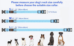 Rechargeable LED Dog Collar with USB - Powered Lighting - Wize - Z