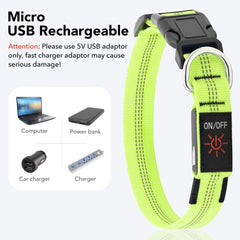 Rechargeable LED Dog Collar with USB - Powered Lighting - Wize - Z
