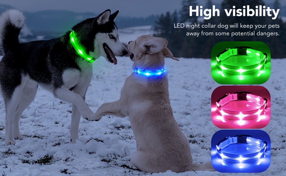 Rechargeable LED Dog Collar with USB - Powered Lighting - Wize - Z