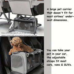 Small Dog & Cat Carrier Airline Approved Soft - Sided Medium - Wize - Z