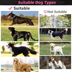 Tactical Dog Harness Durable Polyester Adjustable - Wize - Z