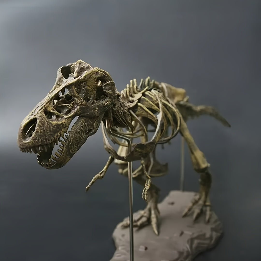 The 27.5 - inch Oversized T - Rex Skeleton Model - Wize - Z
