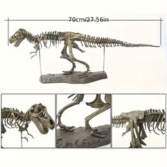 The 27.5 - inch Oversized T - Rex Skeleton Model - Wize - Z