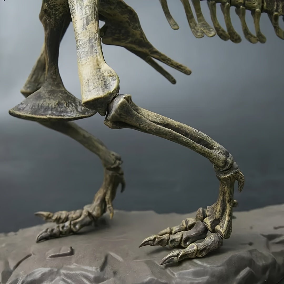The 27.5 - inch Oversized T - Rex Skeleton Model - Wize - Z