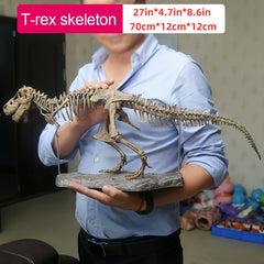 The 27.5 - inch Oversized T - Rex Skeleton Model - Wize - Z