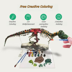 The 27.5 - inch Oversized T - Rex Skeleton Model - Wize - Z