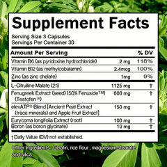 Total - T, Free And Total Testosterone Support Supplement for Men, 90 Count - Wize - Z