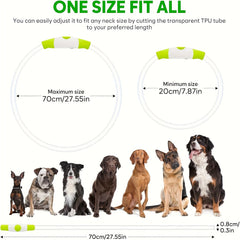 USB Rechargeable LED Dog Collar - Wize - Z