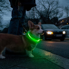 USB Rechargeable LED Dog Collar - Wize - Z