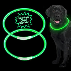 USB Rechargeable LED Dog Collar - Wize - Z