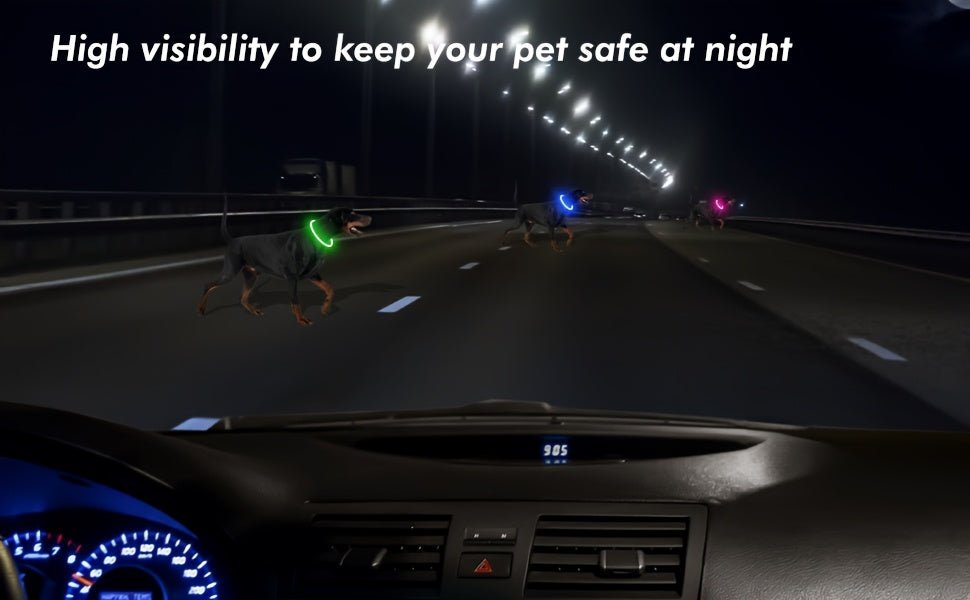 USB Rechargeable LED Dog Collar - Wize - Z