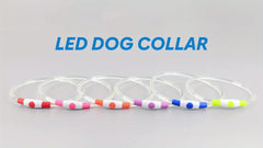 USB Rechargeable LED Dog Collar - Wize - Z