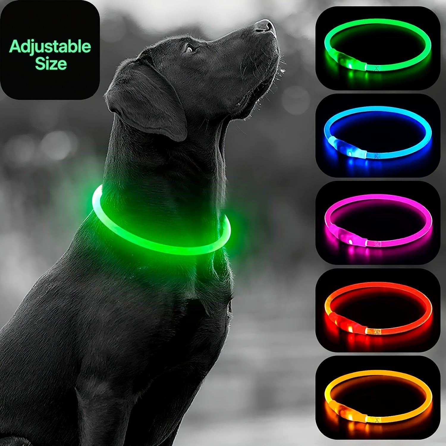 USB Rechargeable LED Dog Collar - Wize - Z