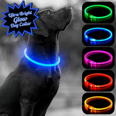USB Rechargeable LED Dog Collar - Wize - Z