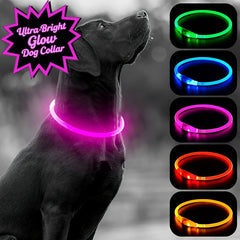 USB Rechargeable LED Dog Collar - Wize - Z