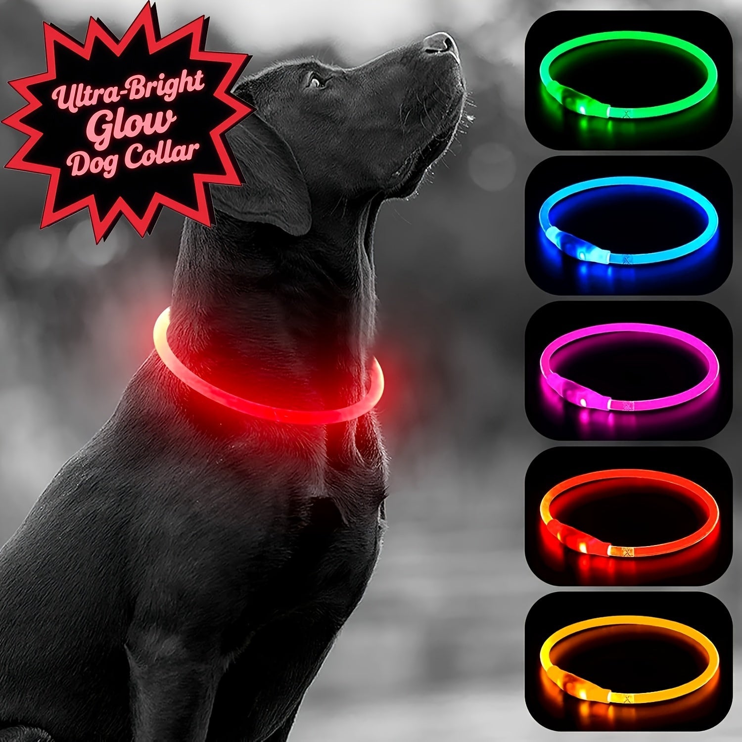 USB Rechargeable LED Dog Collar - Wize - Z