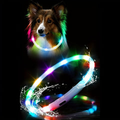 USB Rechargeable LED Dog Collar - Wize - Z