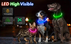USB Rechargeable LED Dog Collar - Wize - Z