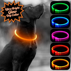 USB Rechargeable LED Dog Collar - Wize - Z
