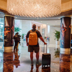 20 - inch Black Carry - On Hardcase Roller Luggage - Wize - Z