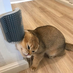 Cat Self Groomer Corner Brush - Wize - Z
