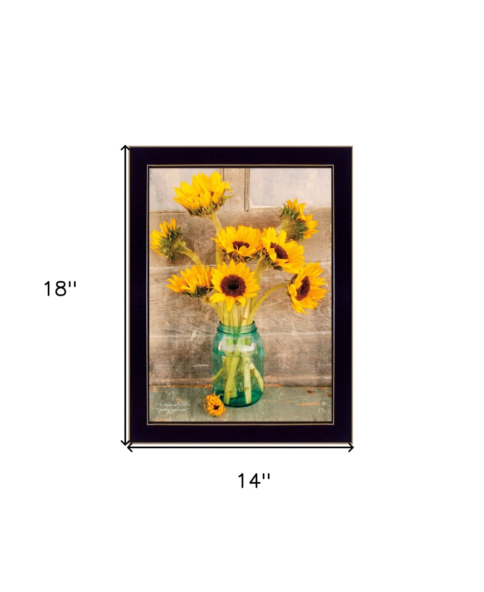Country Sunflowers 1 Black Framed Print Wall Art - Wize - Z