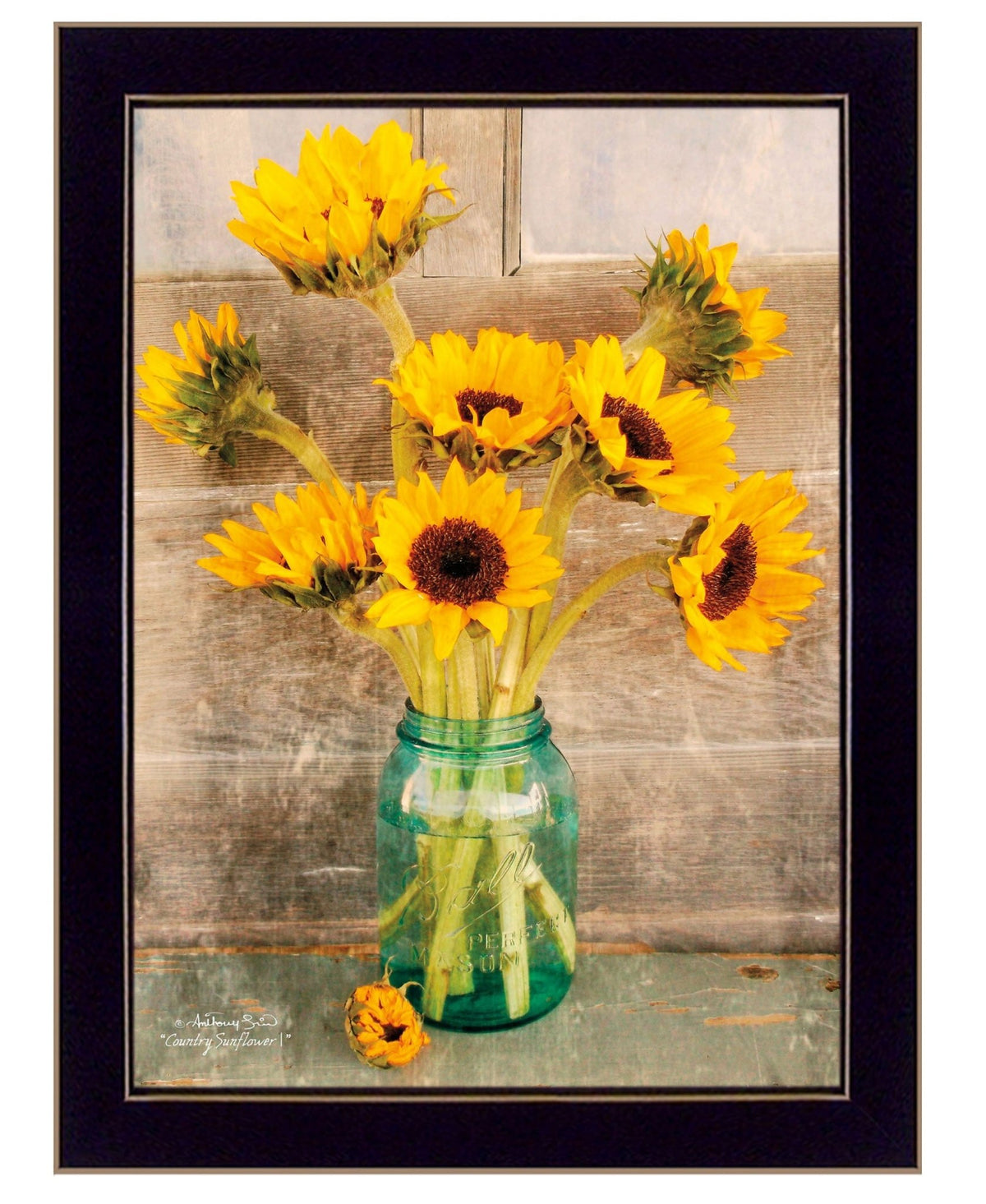 Country Sunflowers 1 Black Framed Print Wall Art - Wize - Z