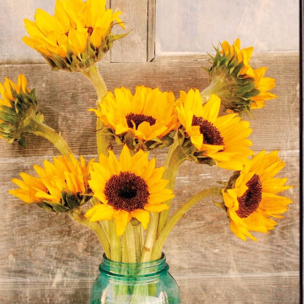 Country Sunflowers 1 Black Framed Print Wall Art - Wize - Z