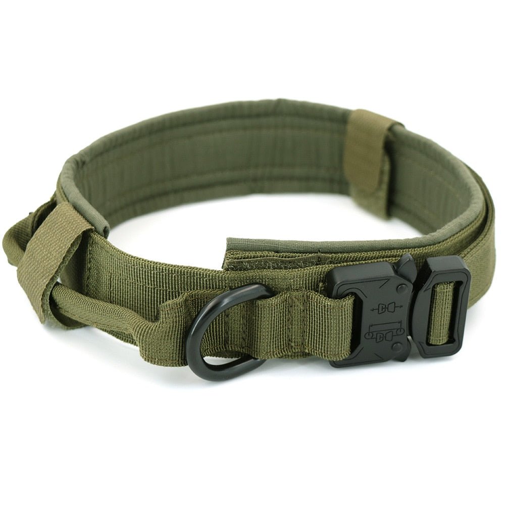 Dog Collar - Wize - Z