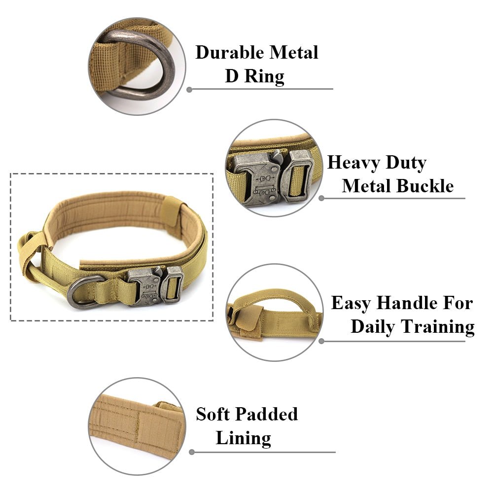 Dog Collar - Wize - Z