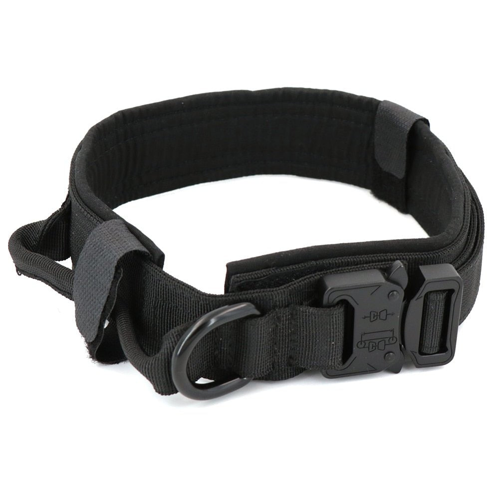 Dog Collar - Wize - Z