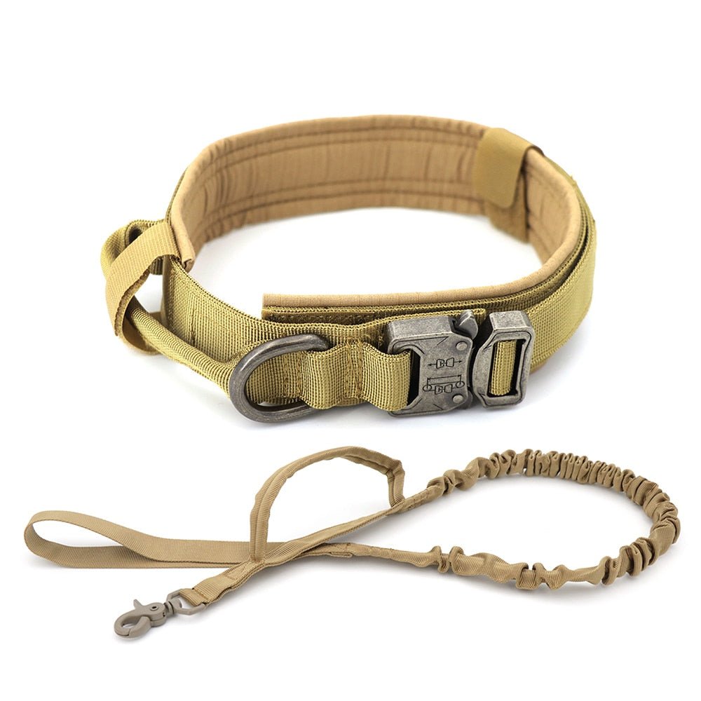 Dog Collar - Wize - Z