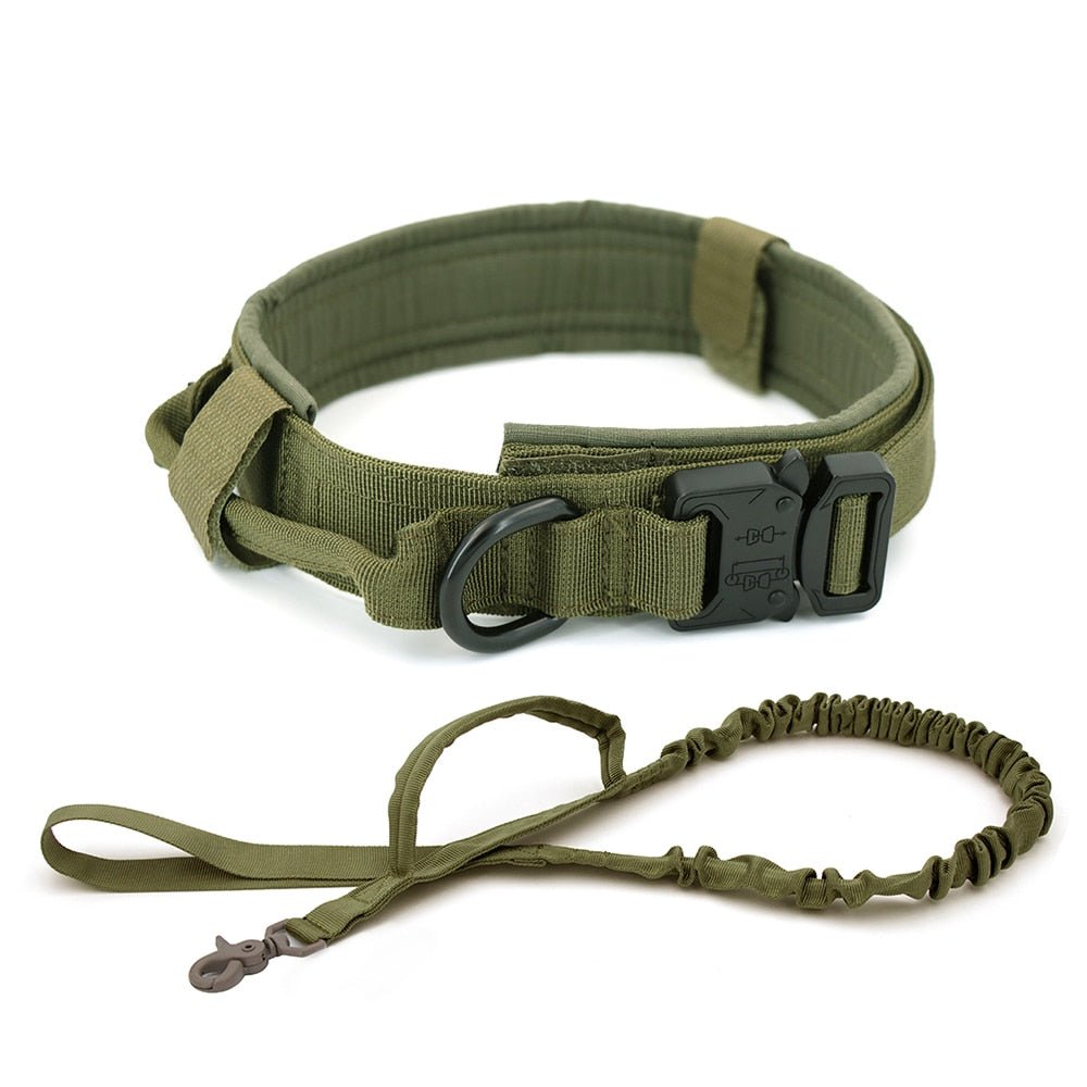 Dog Collar - Wize - Z