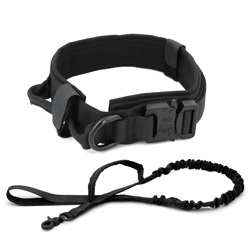 Dog Collar - Wize - Z