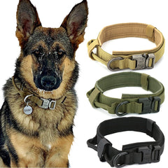 Dog Collar - Wize - Z