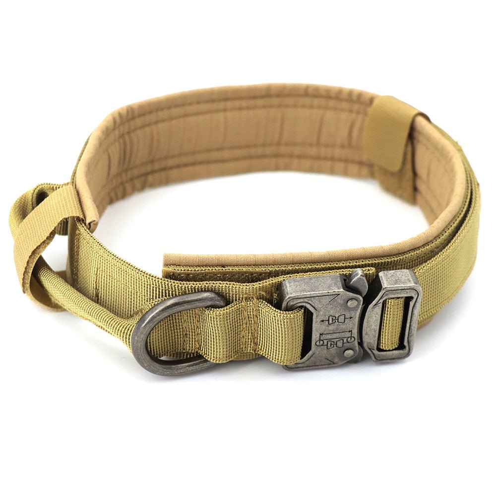Dog Collar - Wize - Z