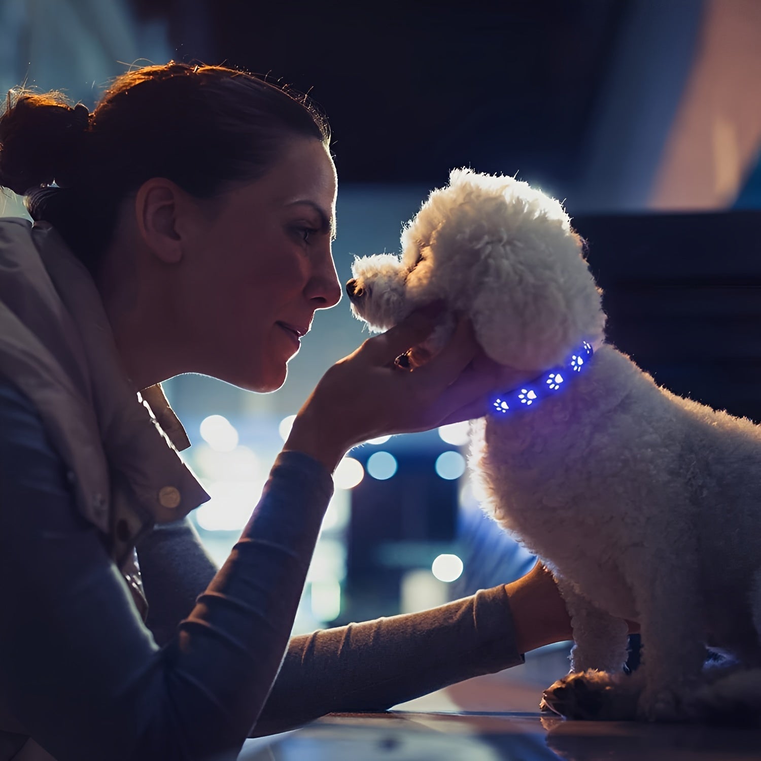 LED Dog Collar Color - Changing Rechargeable LED Dog Collar - Wize - Z