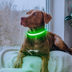 LED Dog Collar, Light Up Dog Collar, USB Rechargeable, Adjustable Comfortable Soft Mesh Safety Dog Collar For Small, Medium, Large Dogs(Blue/ Green/ Pink/ Red/ Yellow) - Wize - Z