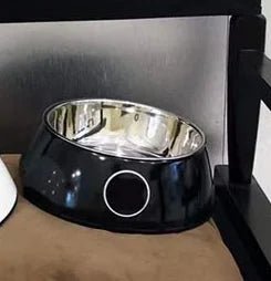 Luxury Stainless Steel Dog Bowls Non Slip Designer Pet Food Water Feeder Set Pet Bowls With Placemat - Wize - Z