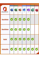 Microsoft Windows 11 Professional + Microsoft Office 2019 Professional Plus License - Wize-Z
